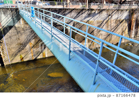 神田川水管橋／曙橋付近(東京都豊島区)【2022.2】 87166478