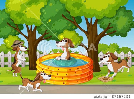 Four dogs playing in the park 87167231