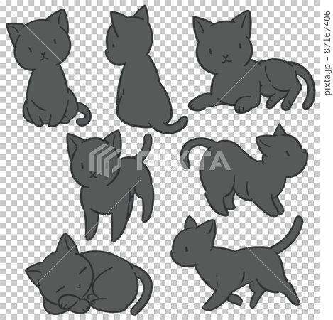 Black cat set 87167406