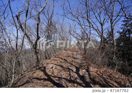 栃木県 足利市 行道山ハイキング 大岩山から行道山へ向かう山頂間近の尾根道 関東ふれあいの道 栃木県 足利市 行道山ハイキング 大岩山から行道山へ向かう山頂間近の尾根道 関東ふれあいの道 87167762
