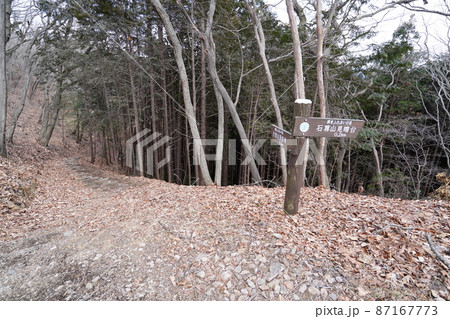 栃木県　足利市　行道山ハイキング　行道山山頂を下った尾根にある浄因寺方面を示す標識　 87167773