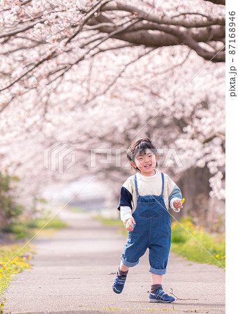 桜と子供とお花見 87168946