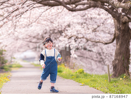 桜と子供とお花見 桜と子供とお花見 87168947