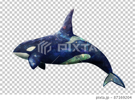 幻想的な柄のシャチ 87169204