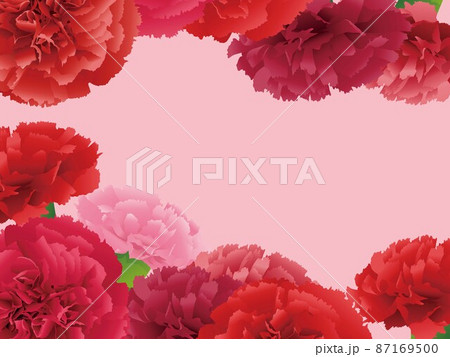 母の日 カーネーション 背景素材 母の日 カーネーション 背景素材 87169500