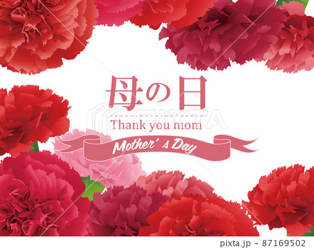 母の日 カーネーション 背景素材 母の日 カーネーション 背景素材 87169502