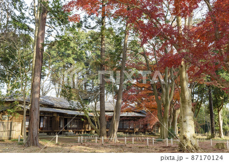 旧岩崎家末廣別邸の紅葉 旧岩崎家末廣別邸の紅葉 87170124