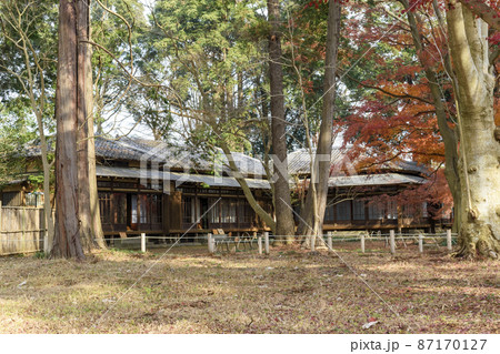 旧岩崎家末廣別邸の紅葉 旧岩崎家末廣別邸の紅葉 87170127