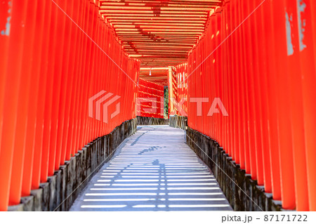 福徳稲荷神社 千本鳥居 山口県下関市 福徳稲荷神社 千本鳥居 山口県下関市 87171722