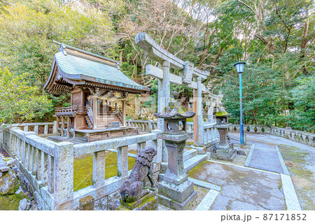 冬の伊萬里神社 佐賀県伊万里市 冬の伊萬里神社 佐賀県伊万里市 87171852