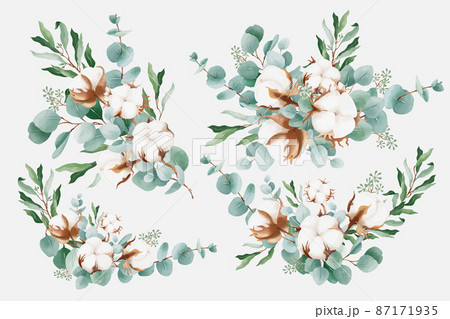 Watercolor bouquets with cotton and branches of eucalyptus 87171935