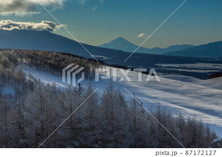 厳冬の霧ヶ峰から白く輝く霧氷と富士山 厳冬の霧ヶ峰から白く輝く霧氷と富士山 87172127
