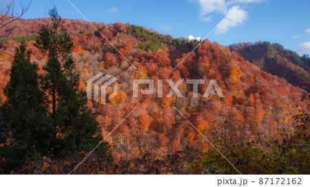 秋色の山　中ノ又渓谷　安の滝へ通じる林道沿いの景色　秋田県北秋田市 87172162