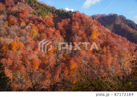 秋色の山　中ノ又渓谷　安の滝へ通じる林道沿いの景色　秋田県北秋田市 87172164