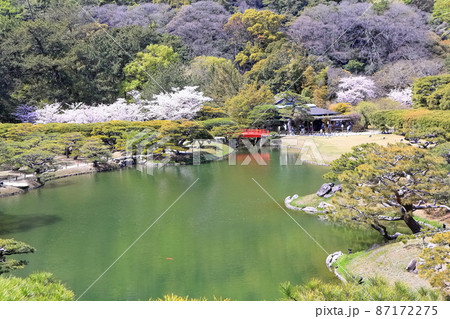 【香川県】桜咲く春の栗林公園（特別名勝） 87172275