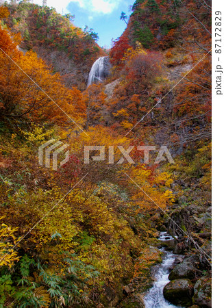 紅葉の安の滝（上段）日本の滝百選　秋田県北秋田市 87172829