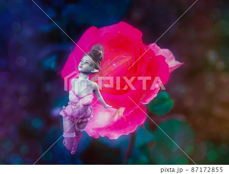 Pink rose and fairy Pink rose and fairy 87172855