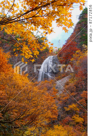 紅葉の安ノ滝(上段)日本の滝百選 秋田県北秋田市 紅葉の安ノ滝(上段)日本の滝百選 秋田県北秋田市 87172856