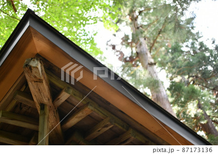 綺麗な梁と爽やかな緑が綺麗な木々を見上げている風景 87173136