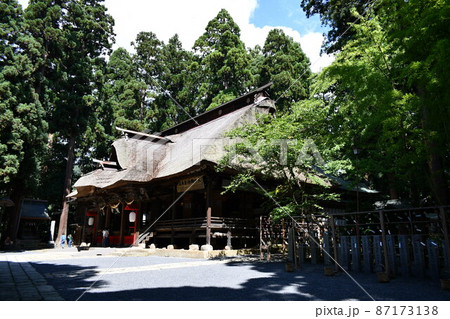 木に囲まれた爽やかな日差しが注がれた熊野大社の本殿 87173138