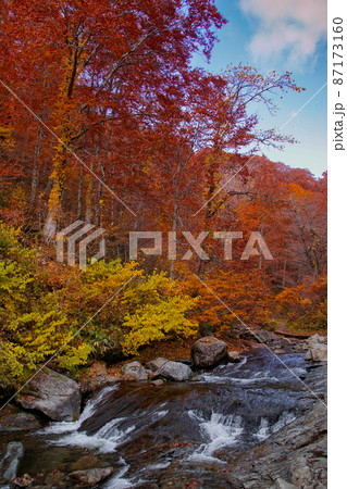 安ノ滝に通じるハイキングトレイル沿いの光景　秋田県北秋田市 87173160