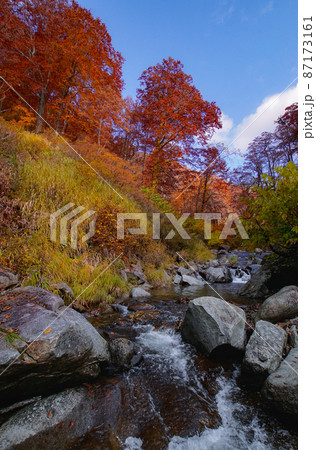安ノ滝に通じるハイキングトレイル沿いの光景　秋田県北秋田市 87173161