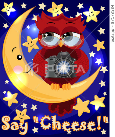 A red sweet owl wearing spectacles and with a camera sits on the moon and the stars. Photo business, photographer, vocation, profession 87173584