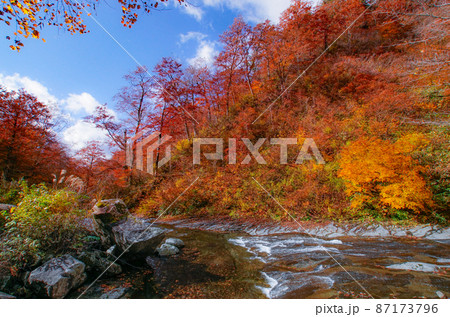 紅葉の中ノ又渓谷の光景　秋田県北秋田市 87173796