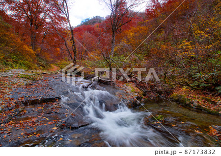 紅葉の中ノ又渓谷の光景　秋田県北秋田市 87173832