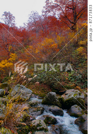 紅葉の中ノ又渓谷の光景 秋田県北秋田市 紅葉の中ノ又渓谷の光景 秋田県北秋田市 87173833