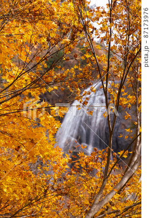 紅葉の安の滝(上段)中ノ又渓谷 秋田県北秋田市 紅葉の安の滝(上段)中ノ又渓谷 秋田県北秋田市 87173976