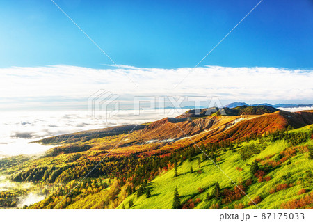 【群馬県】秋の渋峠(志賀草津高原道路) 87175033