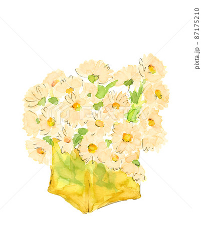 淡いオレンジ色のプリムローズの花束(プリムラ)【手描き水彩画】白バック 透過背景 淡いオレンジ色のプリムローズの花束(プリムラ)【手描き水彩画】白バック 透過背景 87175210