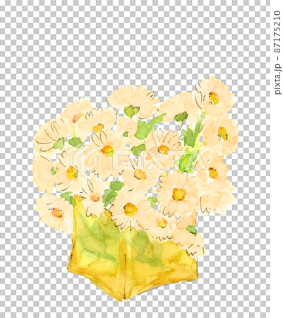淡いオレンジ色のプリムローズの花束(プリムラ)【手描き水彩画】白バック 透過背景 淡いオレンジ色のプリムローズの花束(プリムラ)【手描き水彩画】白バック 透過背景 87175210