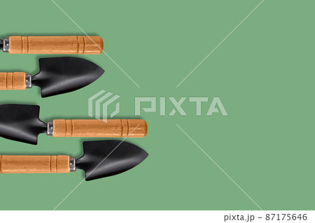 A composition of small garden blades located on the left side on a green background. The place to copy. Concept: poster for the design of advertising media for the garden and vegetable garden. 87175646