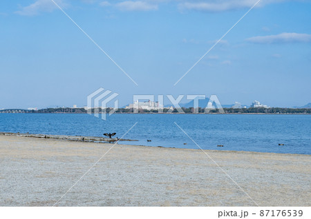 冬の青空と湖岸 87176539