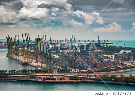 The huge busiest logistic port in Singapore, plenty of cranes to move containers, huge cargo ships in the background, skyscrapers on background 87177373