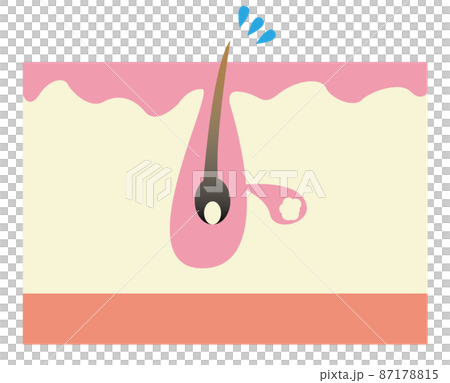 Pore image Pore image 87178815