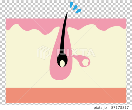 毛穴イメージ 87178817