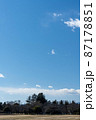 広大な空と立ち並ぶ木々 87178851