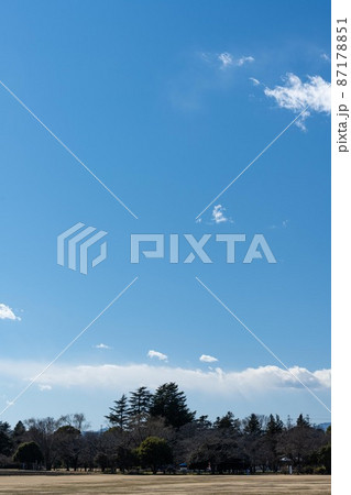 広大な空と立ち並ぶ木々 87178851