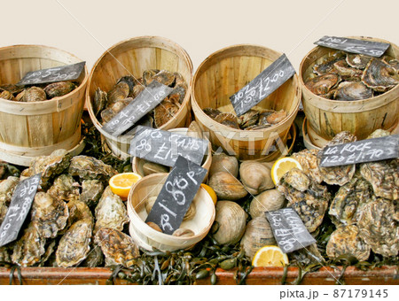 Oyster Oyster 87179145