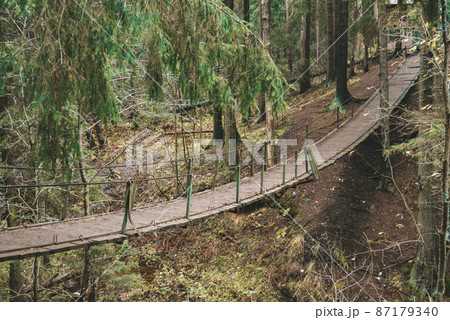 A suspension bridge in the middle of the forest. 87179340