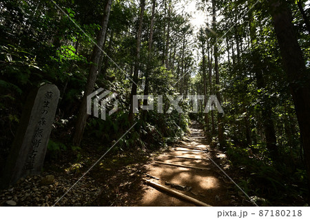 熊野古道より 熊野古道より 87180218