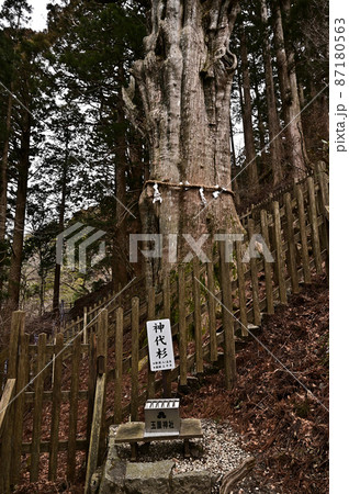 玉置神社より 87180563