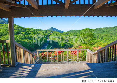 赤城白樺牧場 見晴山展望台からの眺め 初夏の風景 赤城白樺牧場 見晴山展望台からの眺め 初夏の風景 87181663