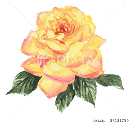 rosepeace22224pix7のイラスト素材 [87181759] - PIXTA