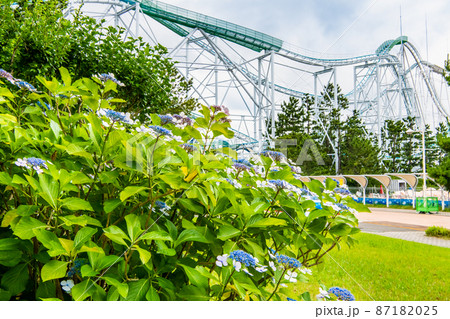 神奈川県横浜市 八景島シーパラダイス ~紫陽花とジェットコースター~ 神奈川県横浜市 八景島シーパラダイス ~紫陽花とジェットコースター~ 87182025