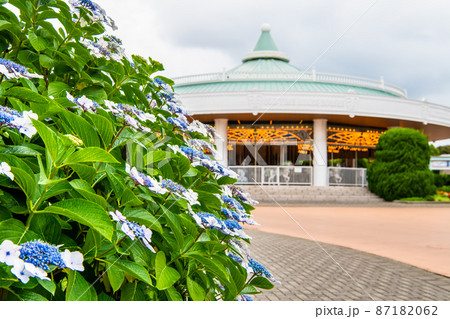 神奈川県横浜市 八景島シーパラダイス ~満開の紫陽花とメリーゴーラウンド~ 神奈川県横浜市 八景島シーパラダイス ~満開の紫陽花とメリーゴーラウンド~ 87182062