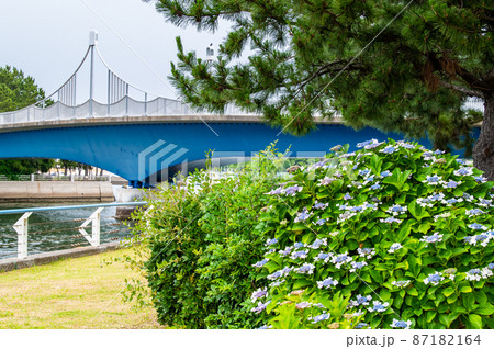 神奈川県横浜市 八景島シーパラダイス ~満開の紫陽花・マリンゲート~ 神奈川県横浜市 八景島シーパラダイス ~満開の紫陽花・マリンゲート~ 87182164